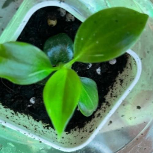 สมาชิกหมายเลข 6671447