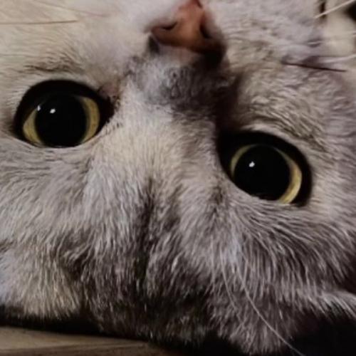 สมาชิกหมายเลข 2223397