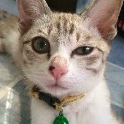 สมาชิกหมายเลข 1978771