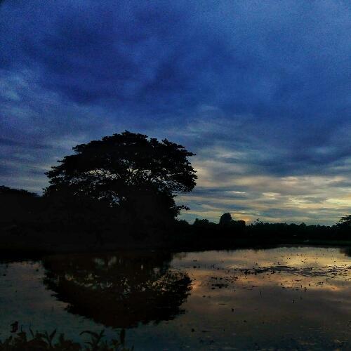 สมาชิกหมายเลข 4742463