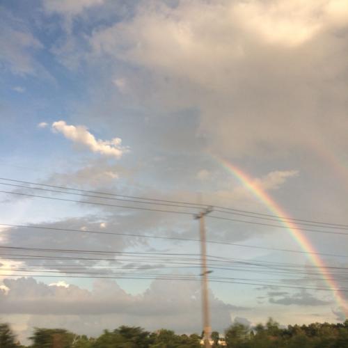 สมาชิกหมายเลข 2838138