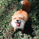 สมาชิกหมายเลข 3752674