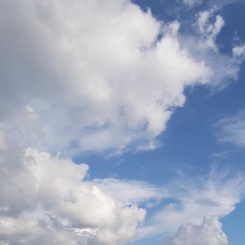 สมาชิกหมายเลข 4321694