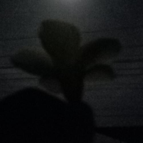 สมาชิกหมายเลข 6672044