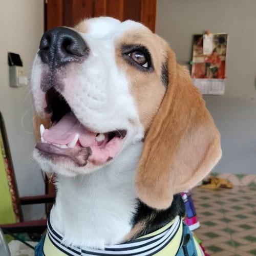 สมาชิกหมายเลข 5834163