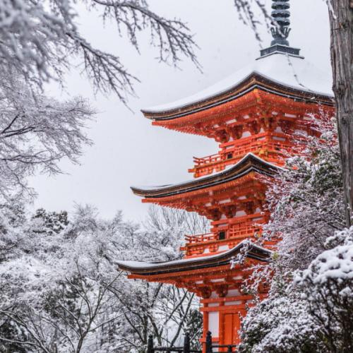 สมาชิกหมายเลข 8312748