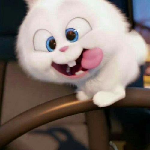 สมาชิกหมายเลข 8313364