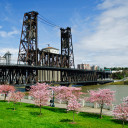 สมาชิกหมายเลข 1276861