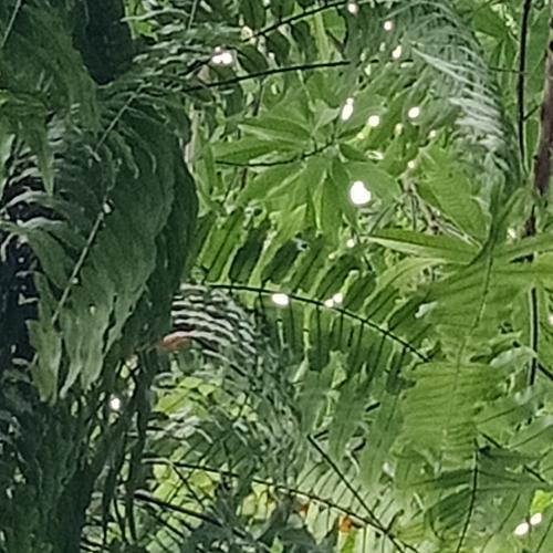 สมาชิกหมายเลข 4734762