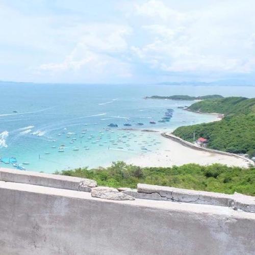 สมาชิกหมายเลข 4742598