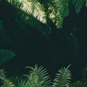 สมาชิกหมายเลข 5507097