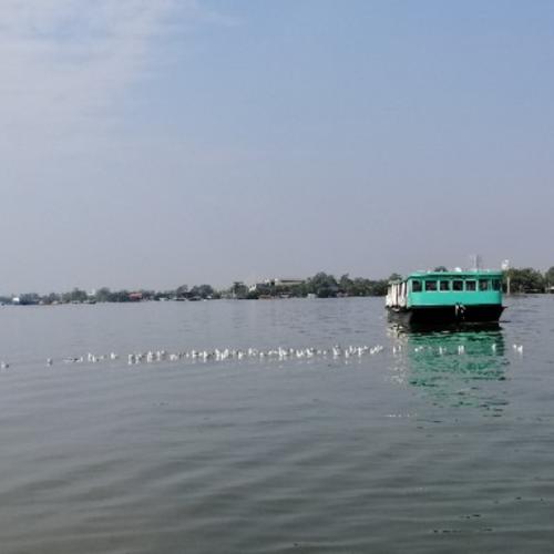 สมาชิกหมายเลข 3356590