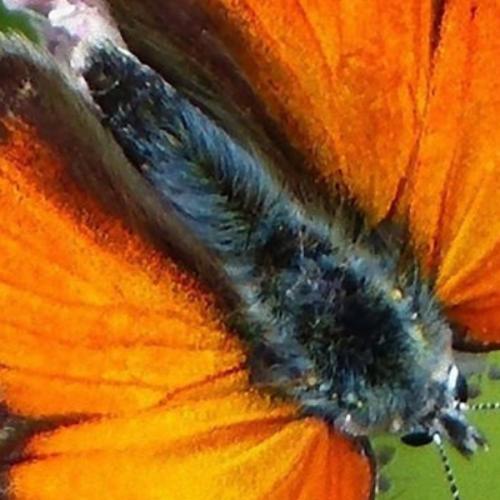 สมาชิกหมายเลข 6000659