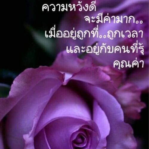 สมาชิกหมายเลข 6055750