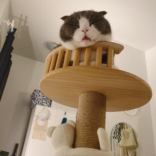 สมาชิกหมายเลข 3958492