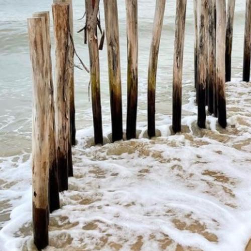 สมาชิกหมายเลข 6672402