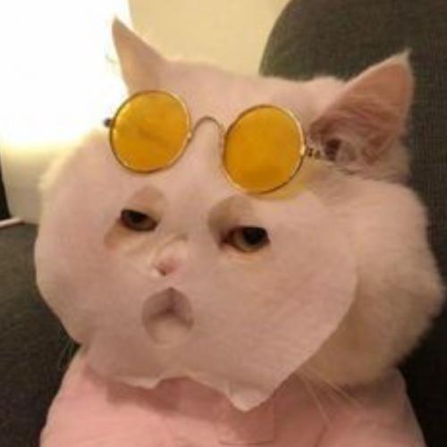 สมาชิกหมายเลข 6672646