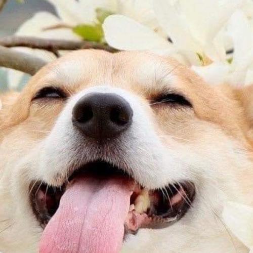 สมาชิกหมายเลข 6672861