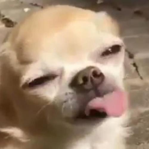 สมาชิกหมายเลข 7419854