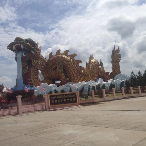 สมาชิกหมายเลข 2521174