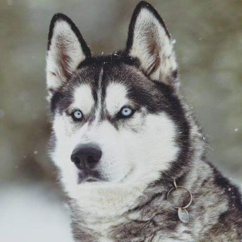 สมาชิกหมายเลข 5484684