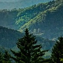 สมาชิกหมายเลข 5509905