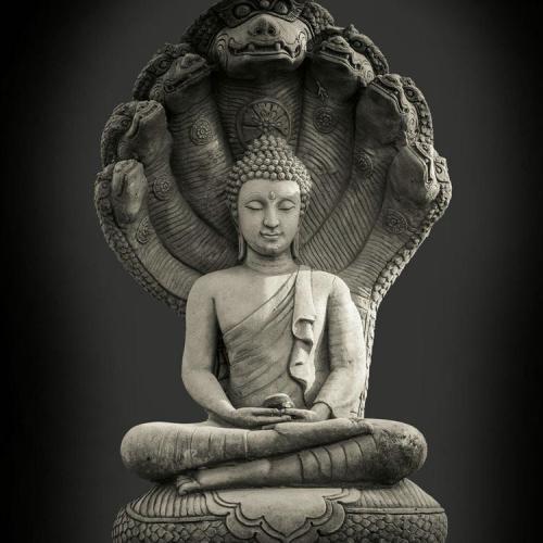 สมาชิกหมายเลข 6579225