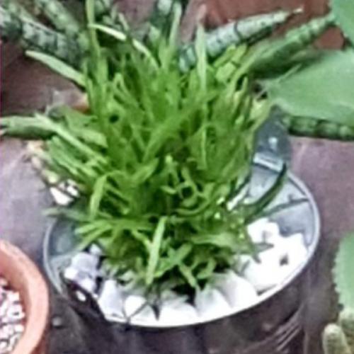 สมาชิกหมายเลข 7423623