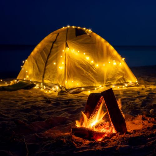 สมาชิกหมายเลข 7423635