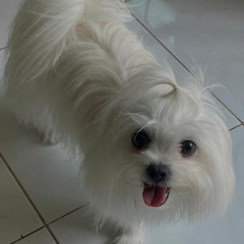 สมาชิกหมายเลข 7052111