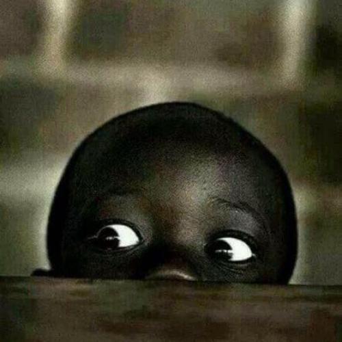 สมาชิกหมายเลข 2276784