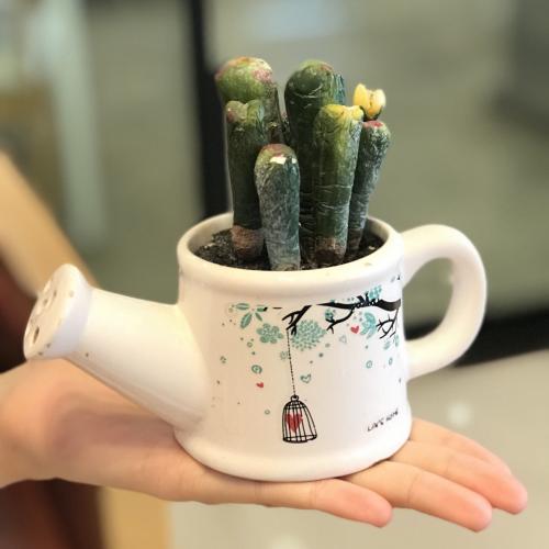 สมาชิกหมายเลข 2538850