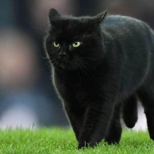 สมาชิกหมายเลข 5117118