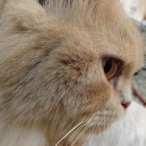 สมาชิกหมายเลข 5117367