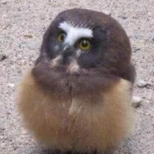 สมาชิกหมายเลข 5842672