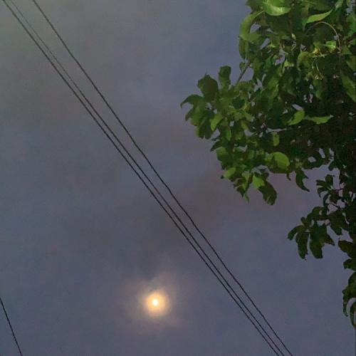 สมาชิกหมายเลข 6056876