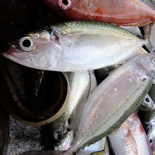 สมาชิกหมายเลข 2280346