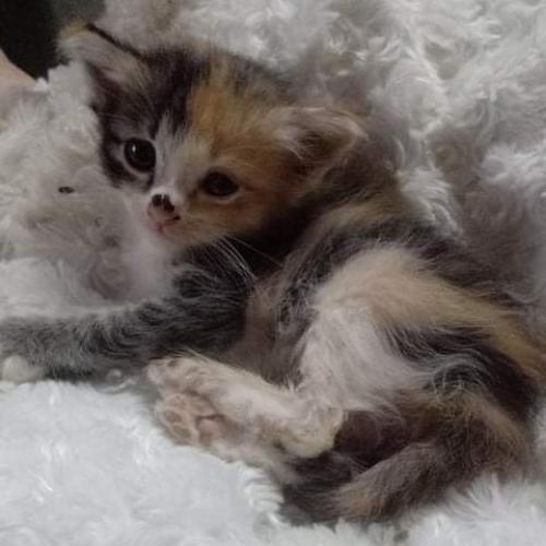 สมาชิกหมายเลข 5982404