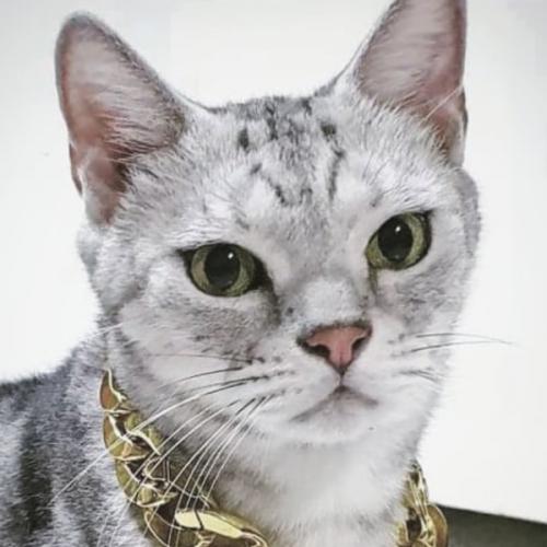 สมาชิกหมายเลข 905019