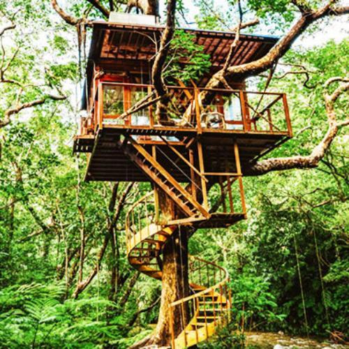 สมาชิกหมายเลข 7423940