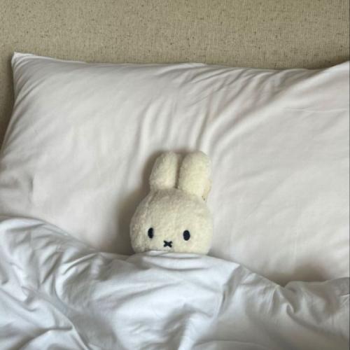 สมาชิกหมายเลข 7913409