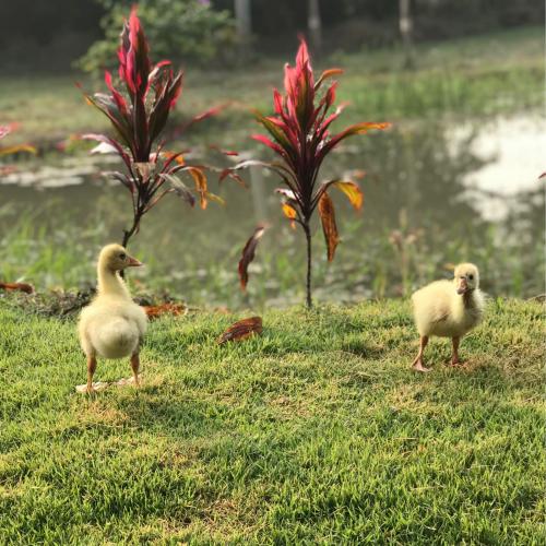 สมาชิกหมายเลข 1935949