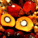 สมาชิกหมายเลข 2140713