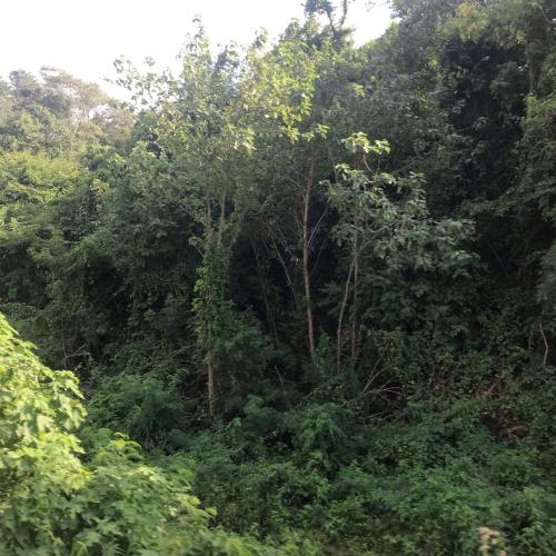 สมาชิกหมายเลข 5117689