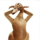 สมาชิกหมายเลข 5117990