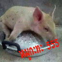 สมาชิกหมายเลข 5510519