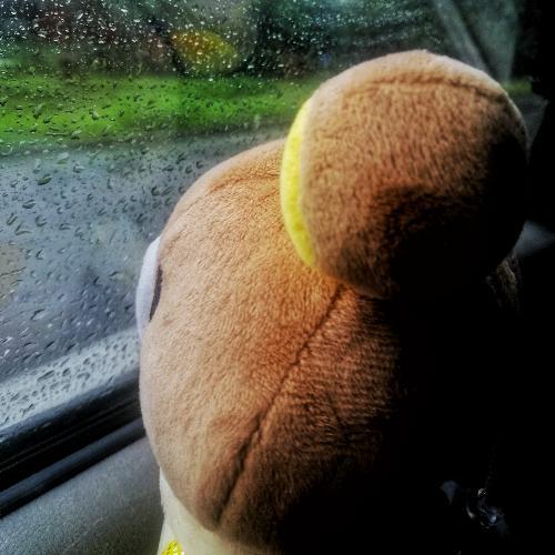 สมาชิกหมายเลข 5510520