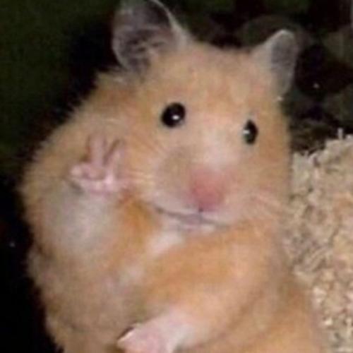 สมาชิกหมายเลข 5510641