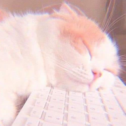 สมาชิกหมายเลข 5510664