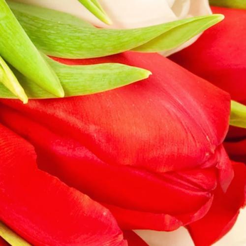 สมาชิกหมายเลข 6005016